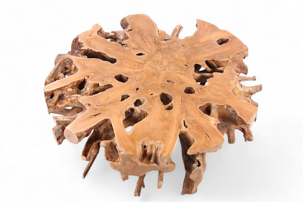 Natural Teak Root Color Round Coffee Table - Dyag East