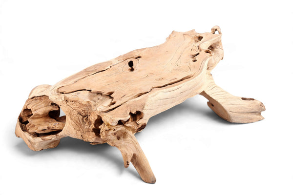 Natural Wood Organic Rectangular Coffee Table - Dyag East