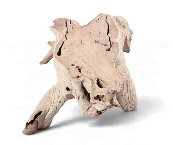 Natural Wood Organic Rectangular Coffee Table - Dyag East