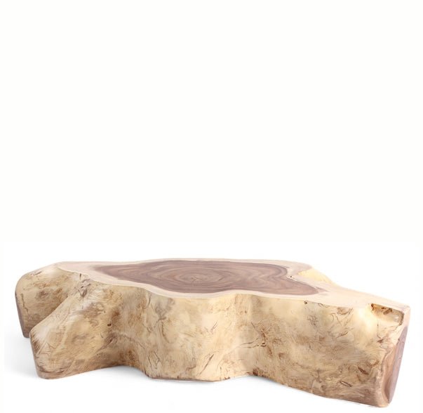 Nature Free Form Block Coffee Table - Dyag East