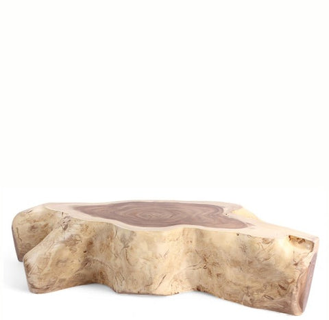 Nature Free Form Block Coffee Table - Dyag East