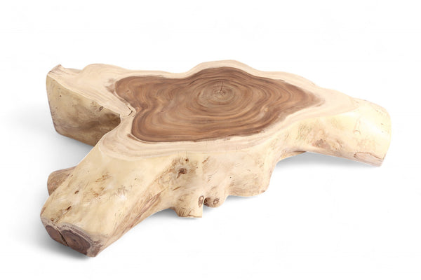 Nature Free Form Block Coffee Table - Dyag East