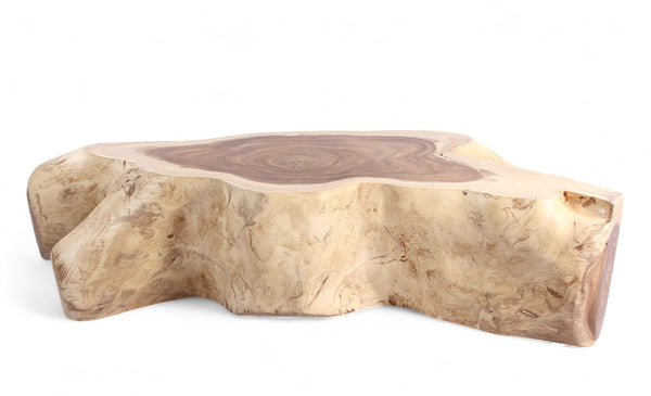 Nature Free Form Block Coffee Table - Dyag East