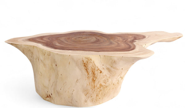 Nature Free Form Block Coffee Table - Dyag East