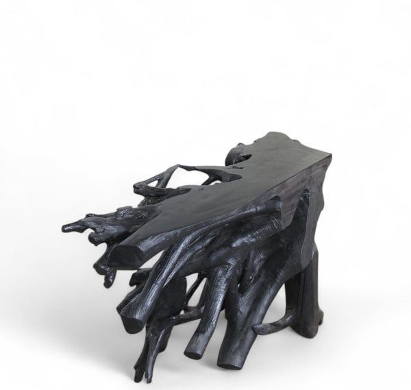 Naturel Teak Root Console Table - Dyag East