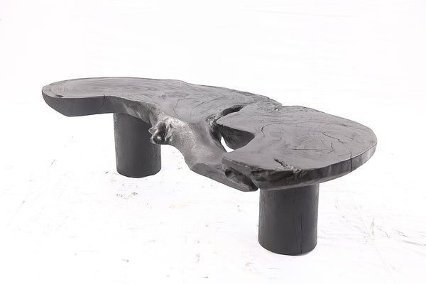 One Slab Free Form Black Coffee Table - Dyag East