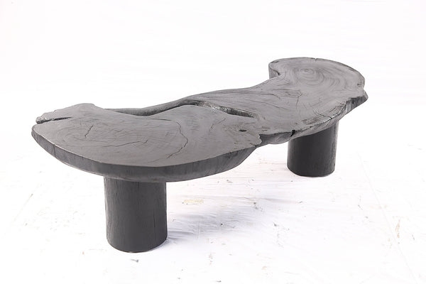 One Slab Free Form Black Coffee Table - Dyag East
