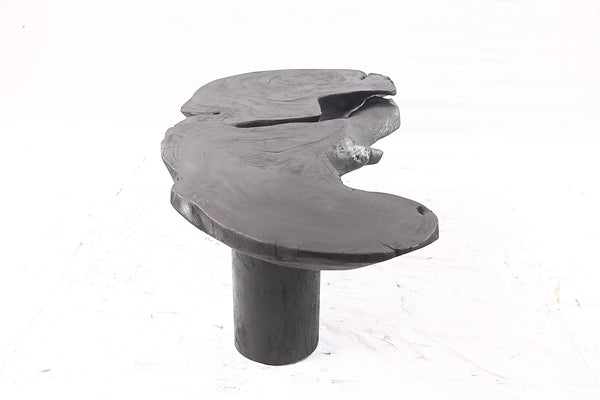 One Slab Free Form Black Coffee Table - Dyag East