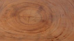 One Slab Living Edge Coffee Table With Black Iron Legs 47 - Dyag East