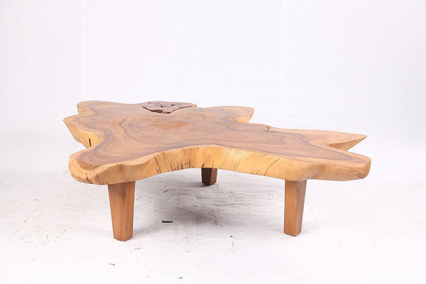One Slab Natural Wood Free Form Coffee Table - Dyag East