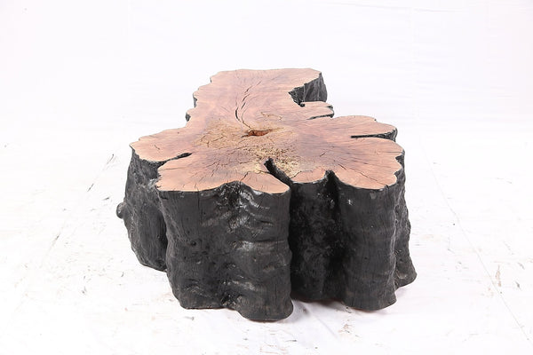Organic Lychee Block Coffee Table B1 - Dyag East