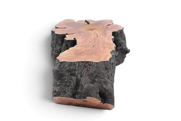 Organic Lychee Block Coffee Table B1 - Dyag East