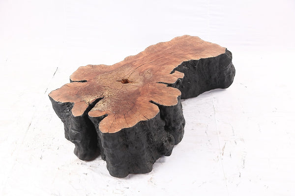 Organic Lychee Block Coffee Table B1 - Dyag East