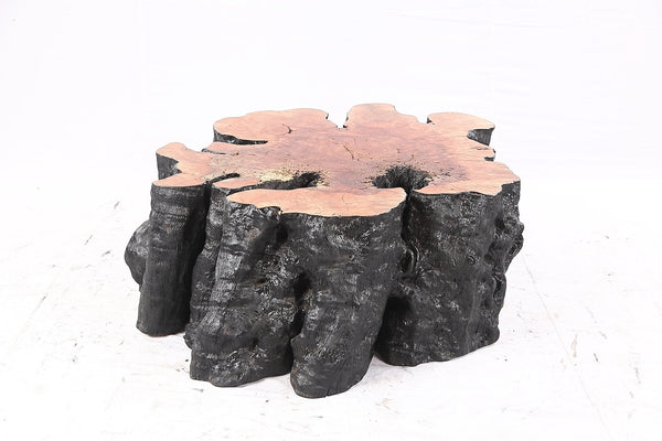 Organic Lychee Block Coffee Table B2 - Dyag East