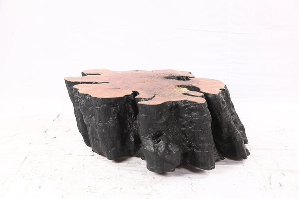 Organic Lychee Block Coffee Table B2 - Dyag East
