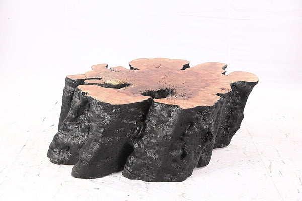Organic Lychee Block Coffee Table B2 - Dyag East