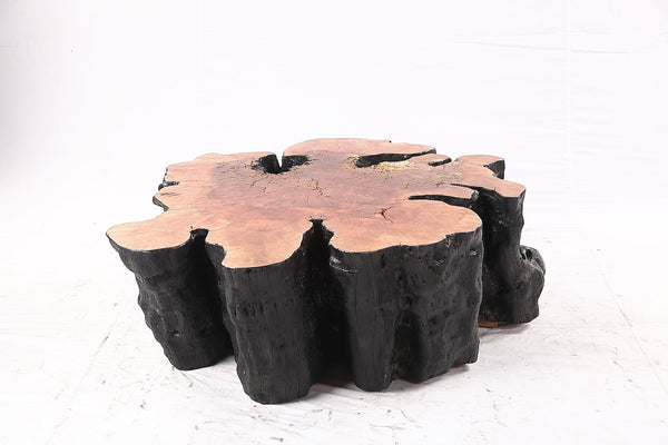 Organic Lychee Block Coffee Table B2 - Dyag East