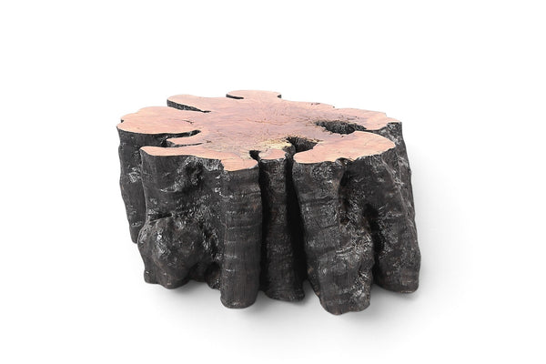 Organic Lychee Block Coffee Table B2 - Dyag East