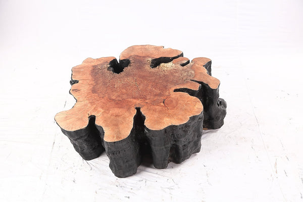 Organic Lychee Block Coffee Table B2 - Dyag East