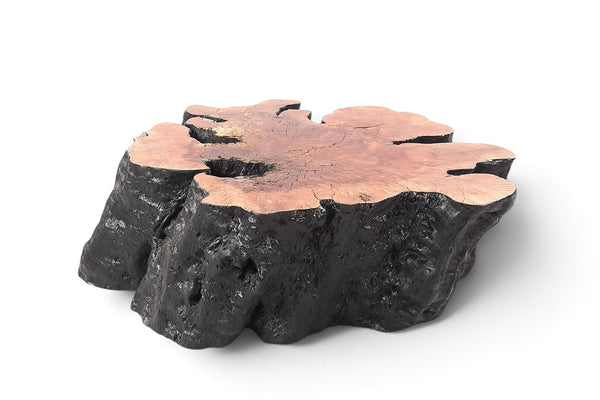 Organic Lychee Block Coffee Table B2 - Dyag East