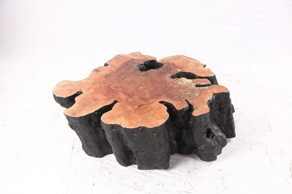 Organic Lychee Block Coffee Table B2 - Dyag East