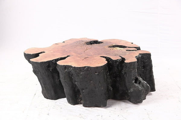 Organic Lychee Block Coffee Table B2 - Dyag East