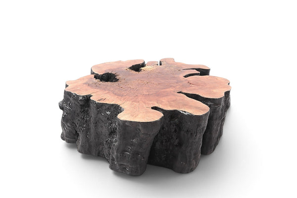 Organic Lychee Block Coffee Table B2 - Dyag East