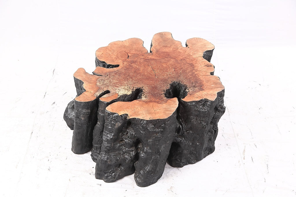 Organic Lychee Block Coffee Table B2 - Dyag East