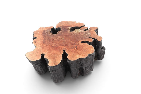 Organic Lychee Block Coffee Table B2 - Dyag East