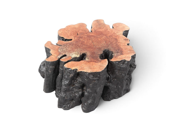 Organic Lychee Block Coffee Table B2 - Dyag East