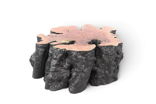 Organic Lychee Block Coffee Table B2 - Dyag East