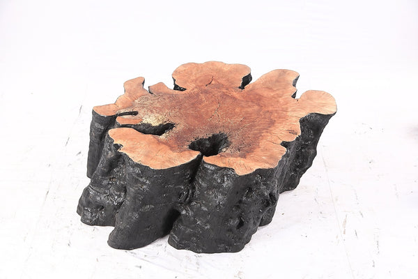 Organic Lychee Block Coffee Table B2 - Dyag East