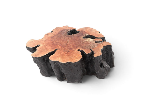 Organic Lychee Block Coffee Table B2 - Dyag East