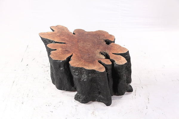 Organic Lychee Block Coffee Table B3 - Dyag East