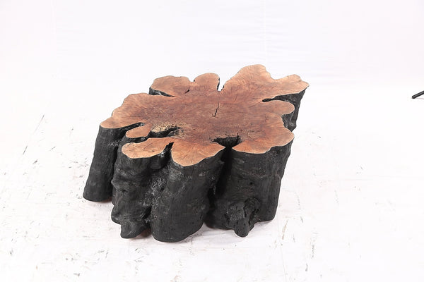 Organic Lychee Block Coffee Table B3 - Dyag East