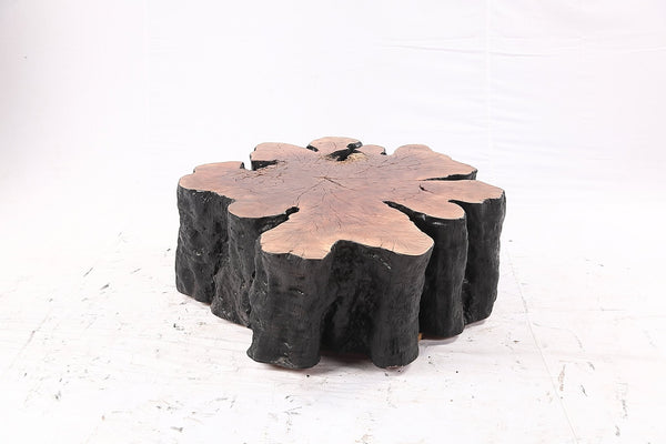 Organic Lychee Block Coffee Table B3 - Dyag East