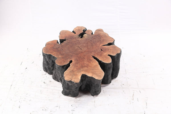 Organic Lychee Block Coffee Table B3 - Dyag East