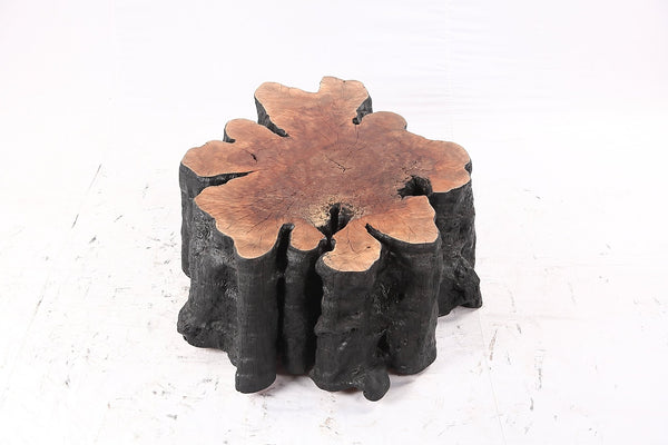 Organic Lychee Block Coffee Table B3 - Dyag East