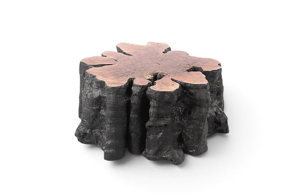 Organic Lychee Block Coffee Table B3 - Dyag East