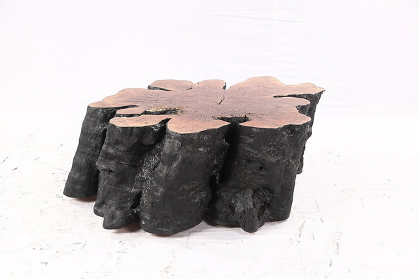 Organic Lychee Block Coffee Table B3 - Dyag East