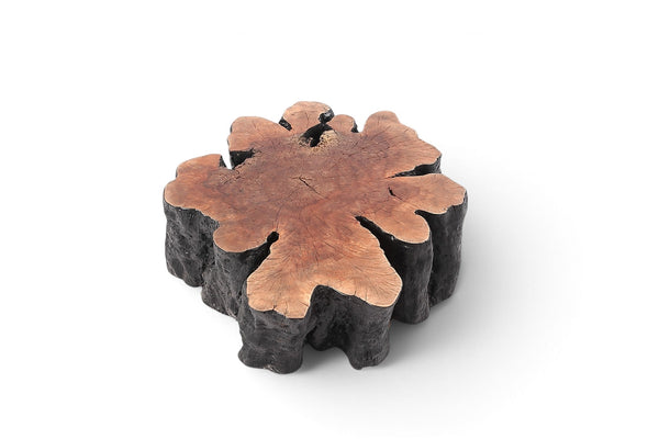 Organic Lychee Block Coffee Table B3 - Dyag East