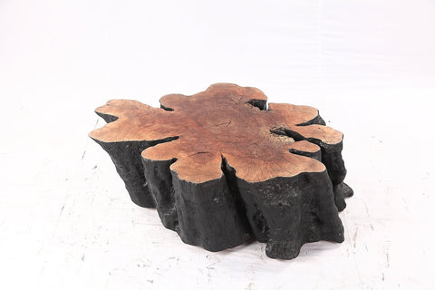 Organic Lychee Block Coffee Table B3 - Dyag East