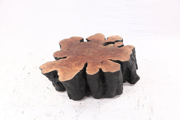 Organic Lychee Block Coffee Table B3 - Dyag East