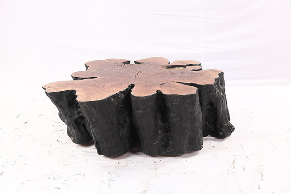 Organic Lychee Block Coffee Table B3 - Dyag East