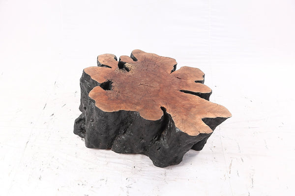 Organic Lychee Block Coffee Table B3 - Dyag East