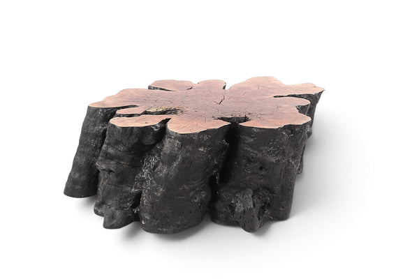 Organic Lychee Block Coffee Table B3 - Dyag East