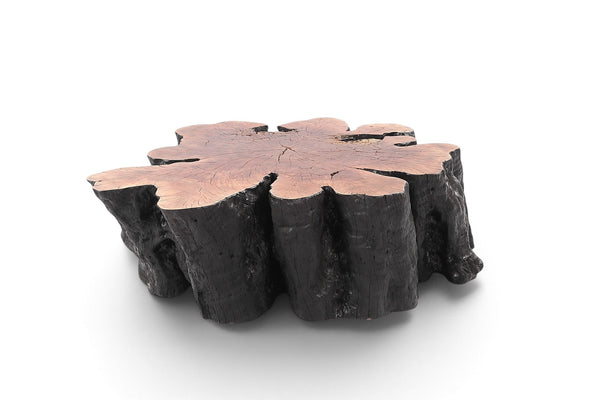 Organic Lychee Block Coffee Table B3 - Dyag East