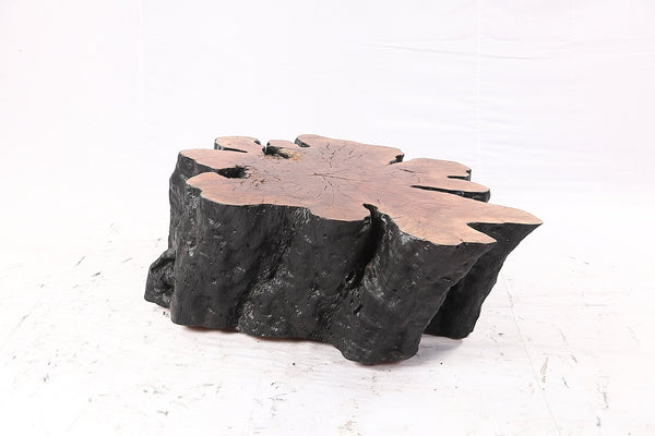 Organic Lychee Block Coffee Table B3 - Dyag East