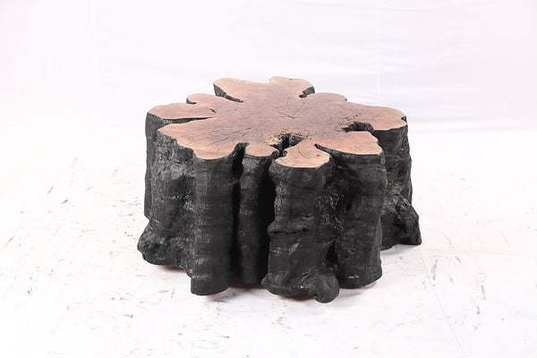 Organic Lychee Block Coffee Table B3 - Dyag East
