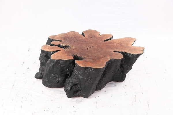 Organic Lychee Block Coffee Table B3 - Dyag East